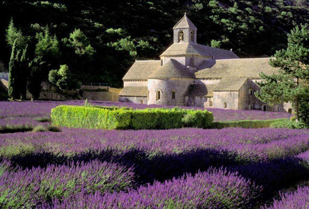Villa Au bastidon de Gordes Exterior foto